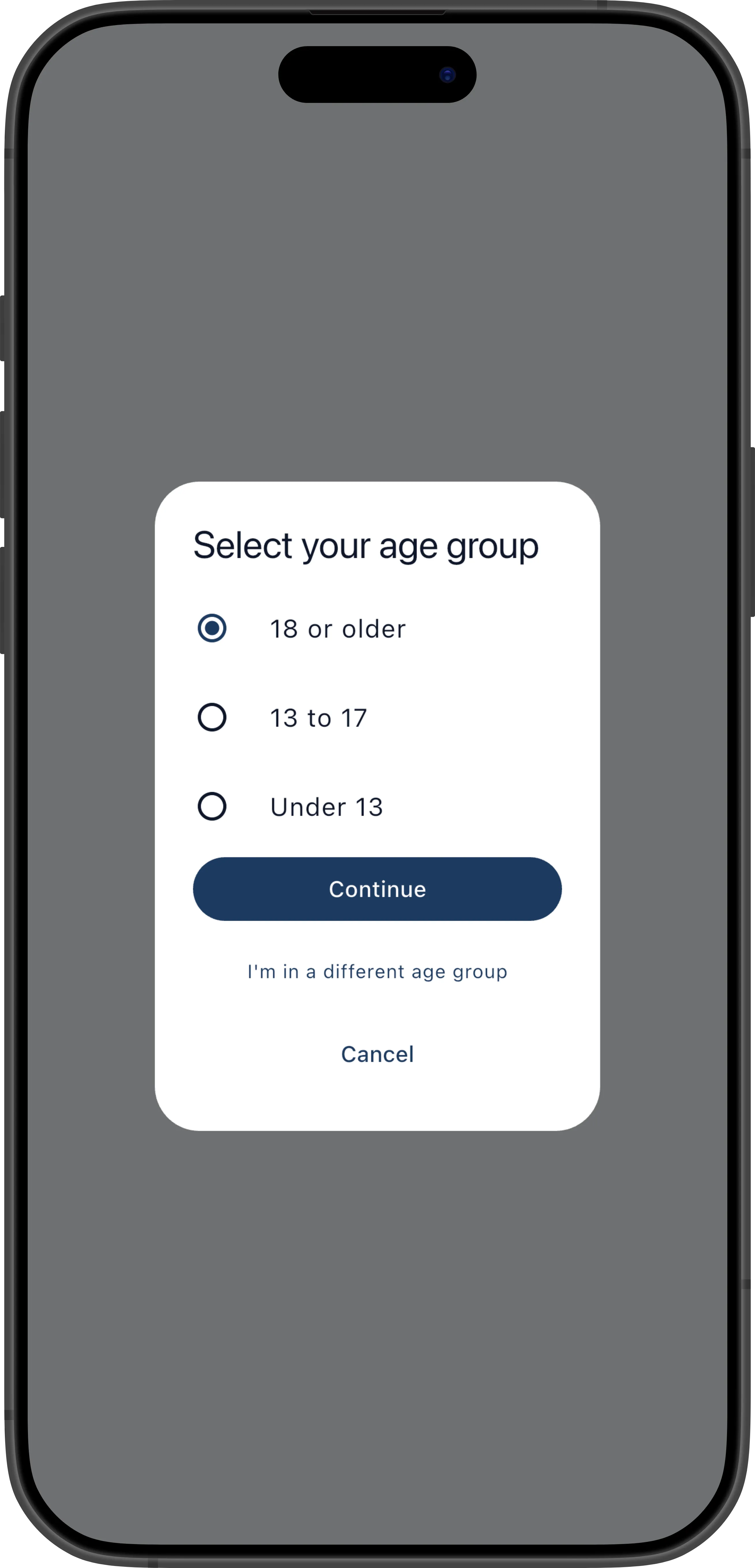 Age verification screen with an age group pre-selected by the platform Age Signals API and a 'Select my age group' option visible below